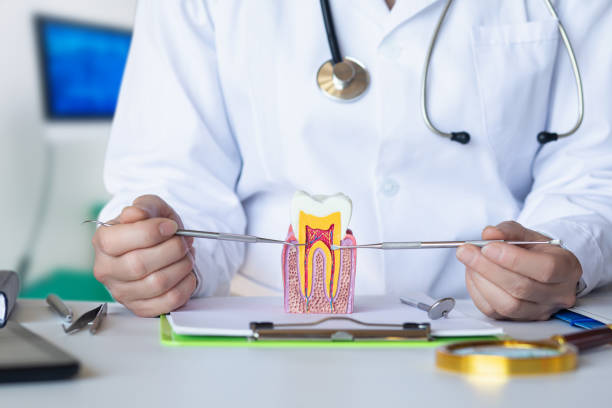 Best Chipped Tooth Repair Near Me  in Corte Madera, CA